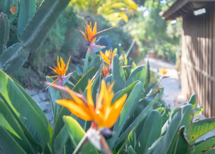 Nature Lovers Wellness Home